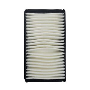 Filtro De Aire Victory 1.2 Hasta 2020