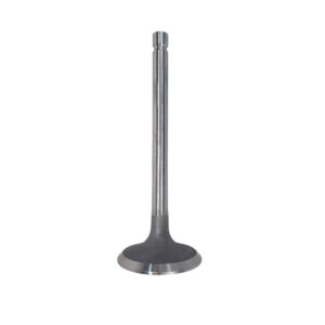 Valvula De Admision Zx Auto Grand Tiger/ Admiral 2.2 8v